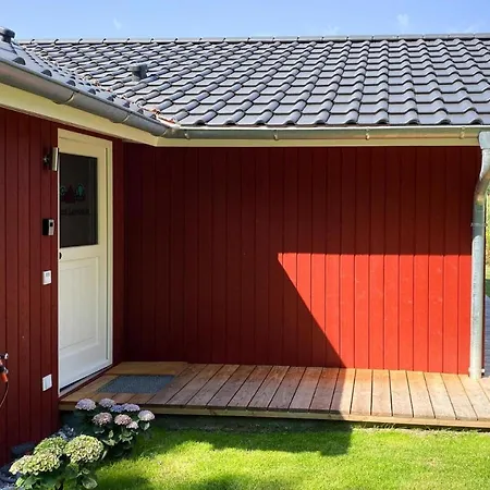 Larsson Mit Sauna Am Duemmer See, Duemmer * Dummer